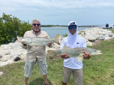 Two anglers holding large snook by shoreline.